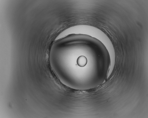 X0000111510427200908041226