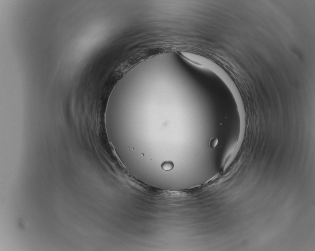 X0000111510429200908041226