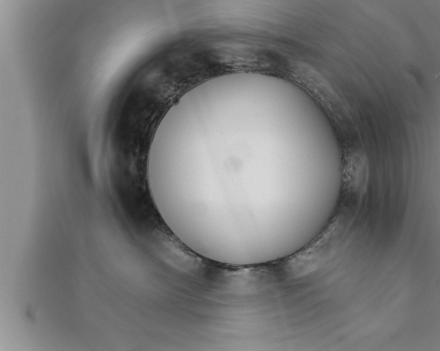 X0000111510430200908041226