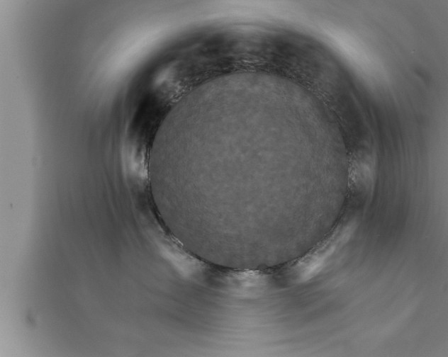X0000111510431200908041226