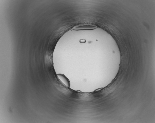 X0000111510432200908041226
