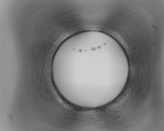 X0000111510433200908041226