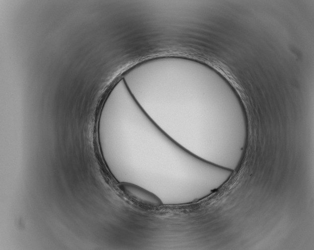 X0000111510434200908041226