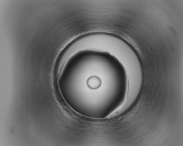 X0000111510436200908041226