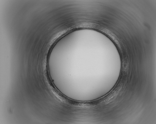 X0000111510437200908041226