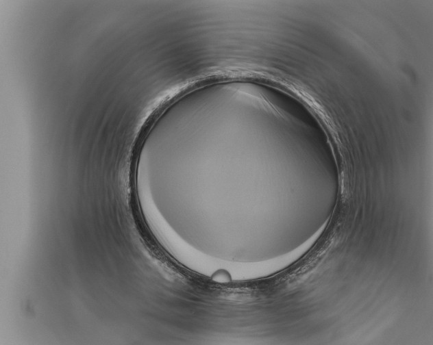 X0000111510438200908041226