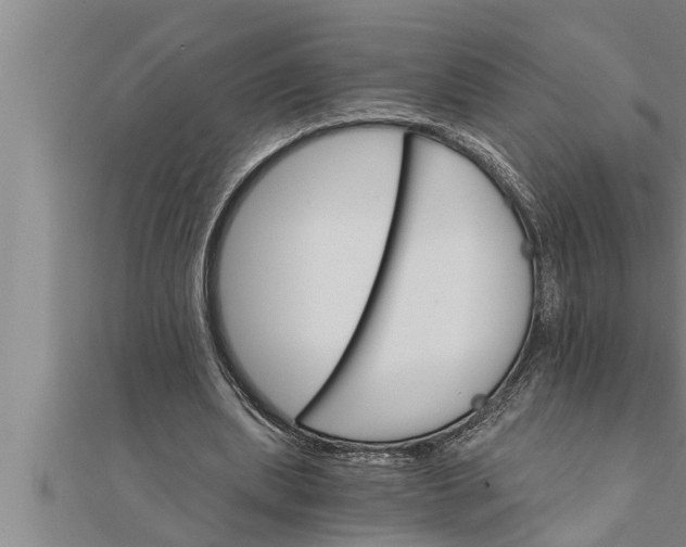 X0000111510439200908041226