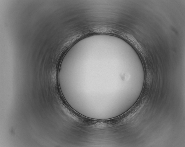 X0000111510441200908041226