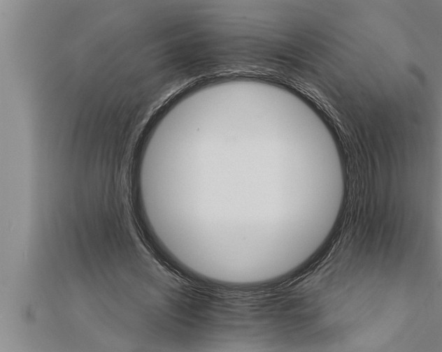 X0000111510444200908041226