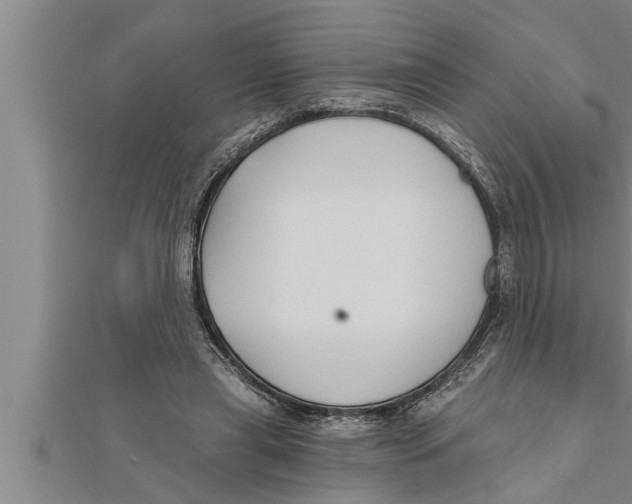 X0000111510445200908041226