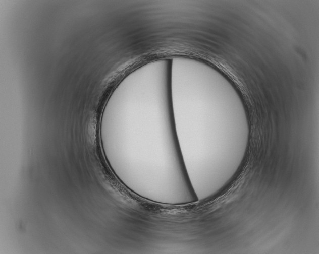 X0000111510446200908041226