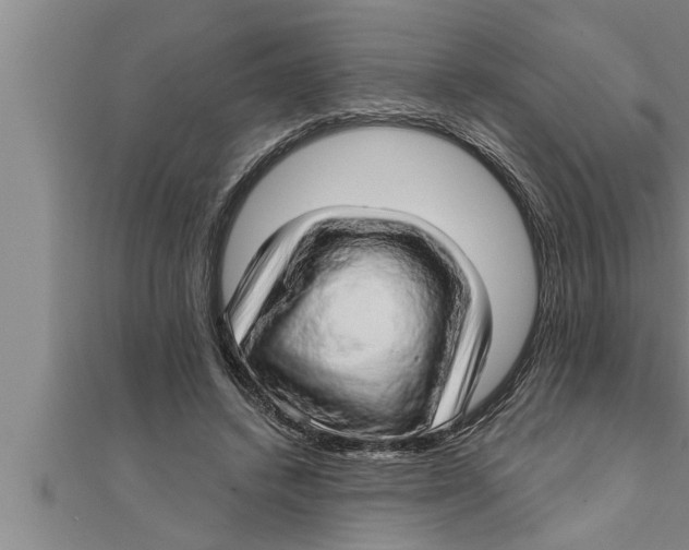 X0000111510448200908041226
