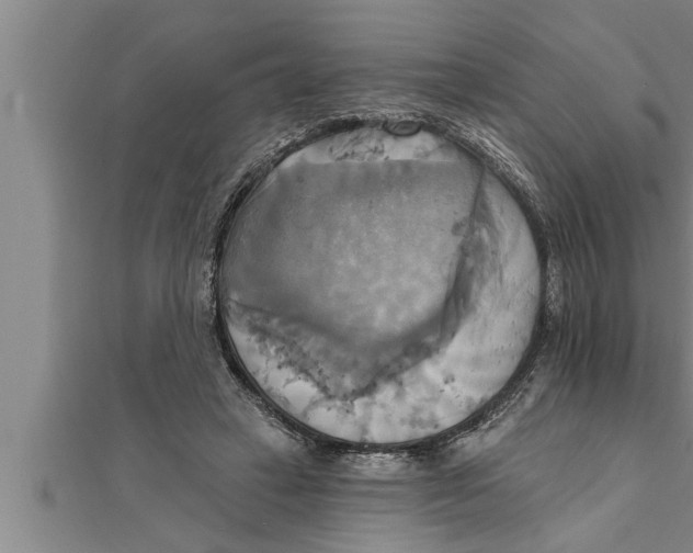 X0000111510449200908041226