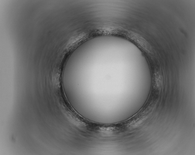 X0000111510450200908041226