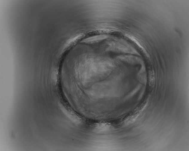 X0000111510451200908041226