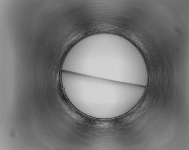 X0000111510454200908041226