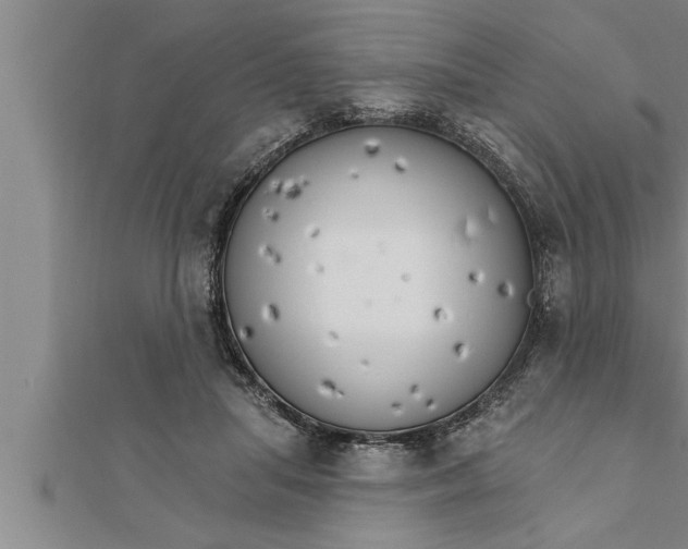 X0000111510455200908041226