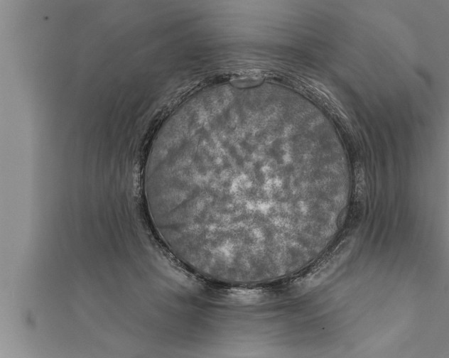 X0000111510457200908041226