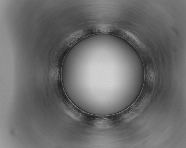 X0000111510459200908041226