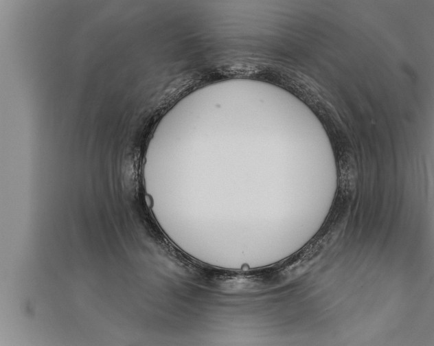 X0000111510460200908041226