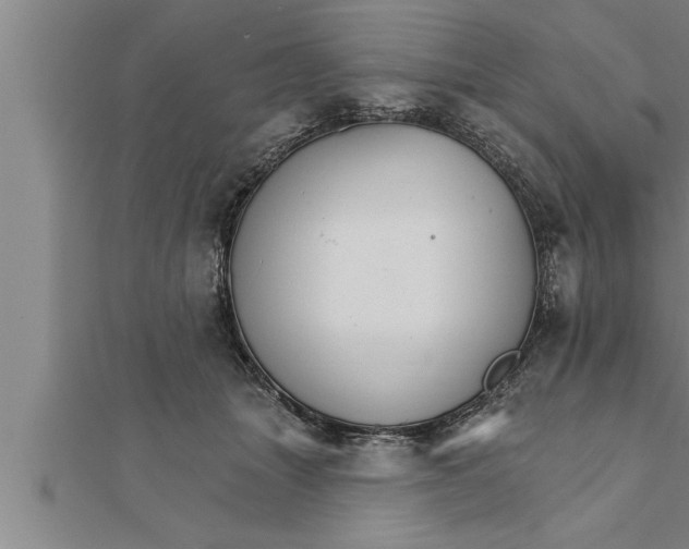 X0000111510463200908041226