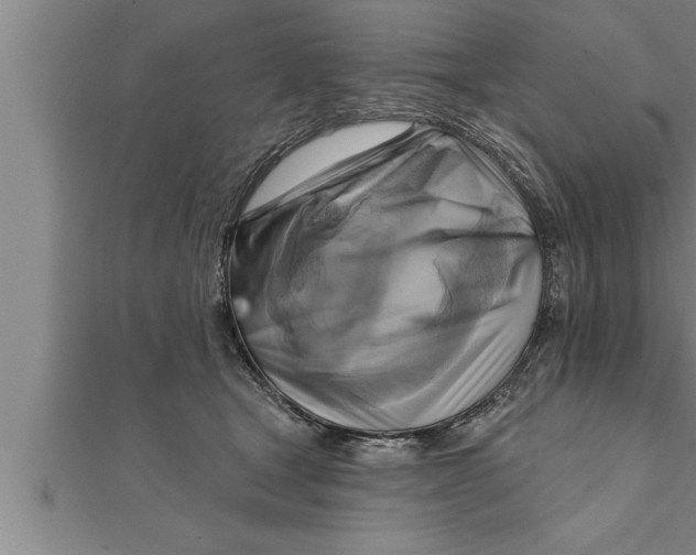 X0000111510465200908041226