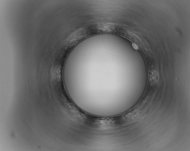 X0000111510466200908041226