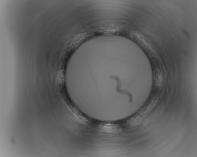 X0000111510467200908041226