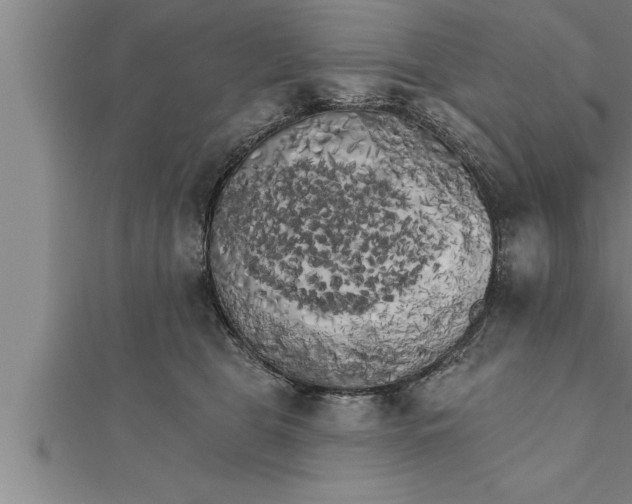 X0000111510469200908041226