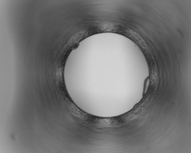 X0000111510473200908041226