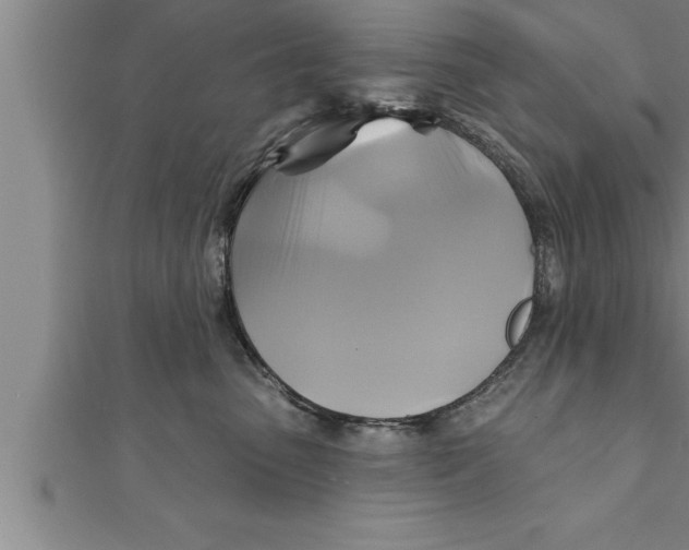 X0000111510475200908041226