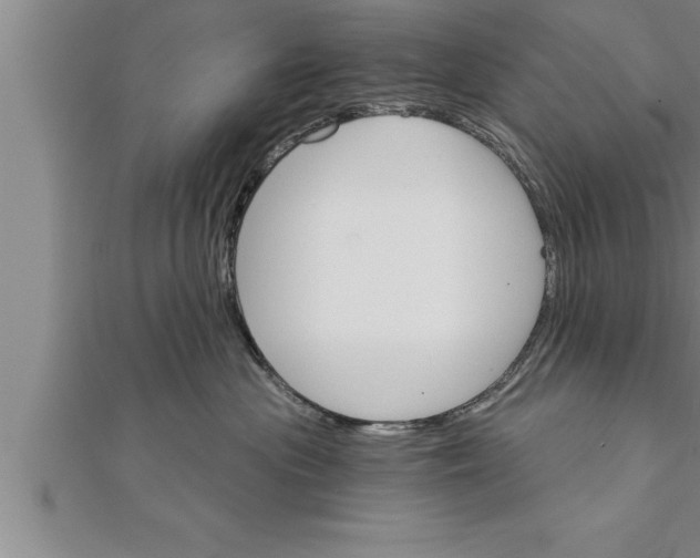 X0000111510477200908041226