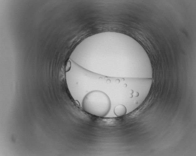 X0000111510478200908041226
