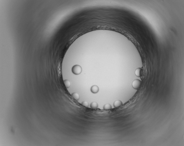 X0000111510479200908041226