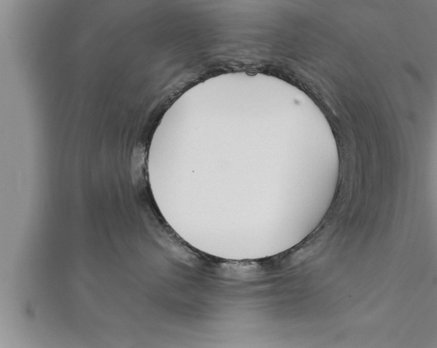 X0000111510480200908041226