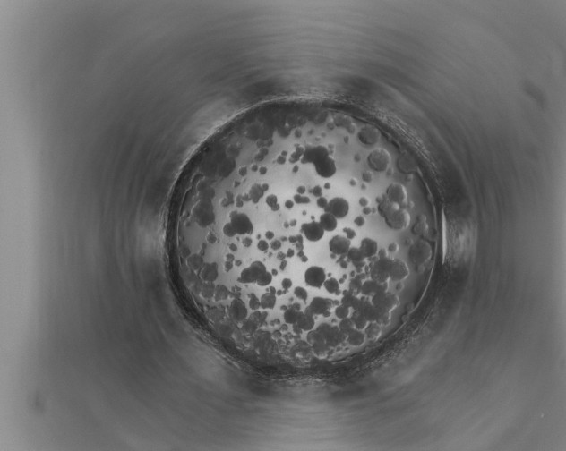 X0000111510483200908041226