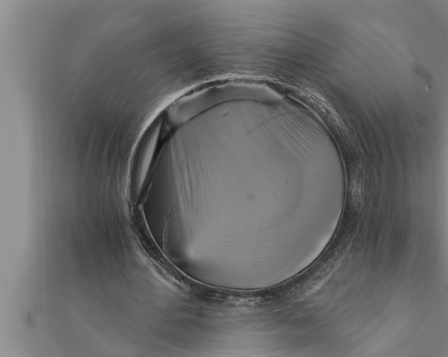 X0000111510484200908041226