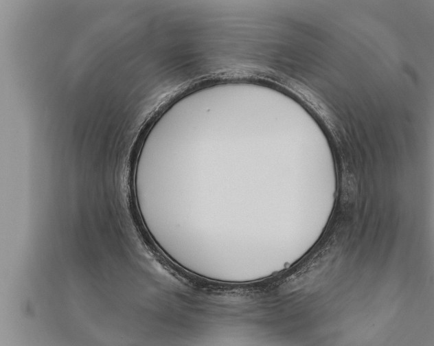 X0000111510485200908041226