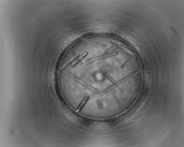 X0000111510487200908041226