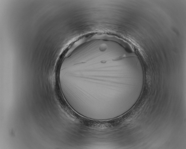 X0000111510488200908041226