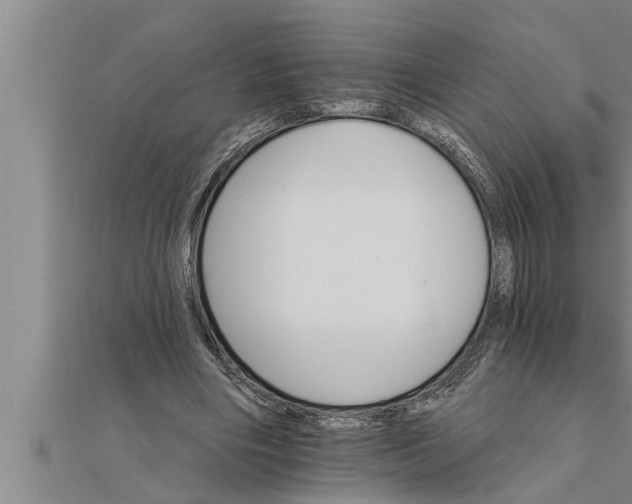 X0000111510490200908041226