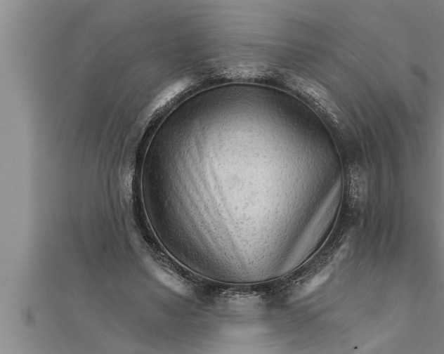 X0000111510491200908041226