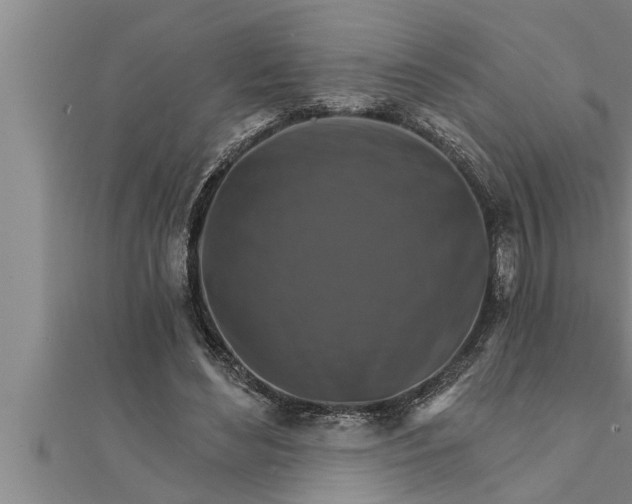 X0000111510492200908041226