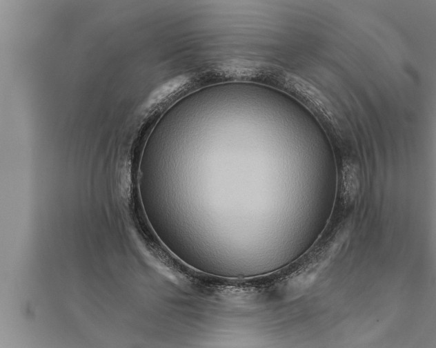 X0000111510494200908041226