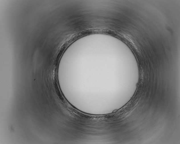 X0000111510495200908041226