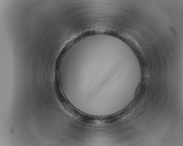 X0000111510496200908041226