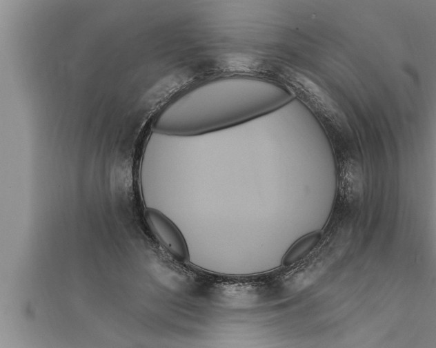 X0000111510500200908041226