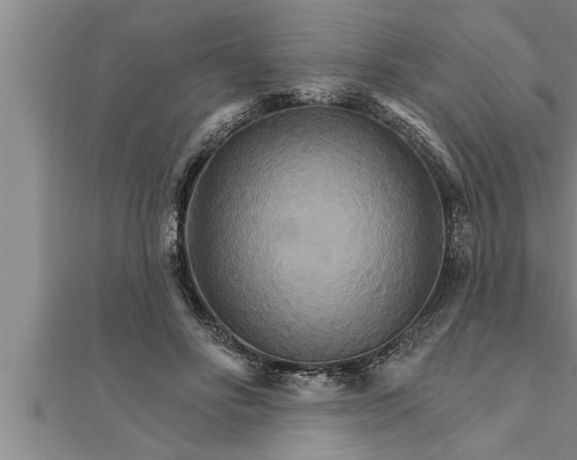 X0000111510502200908041226