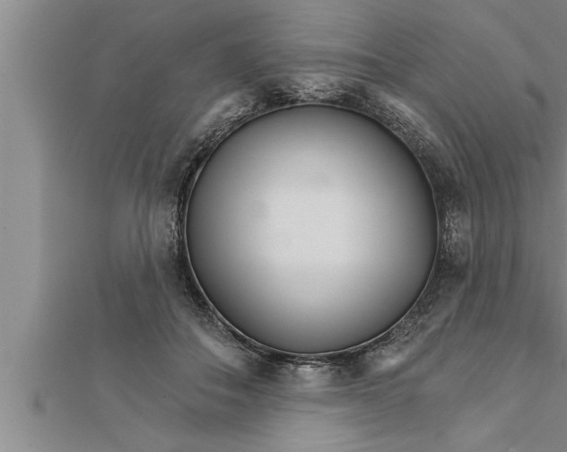 X0000111510506200908041225
