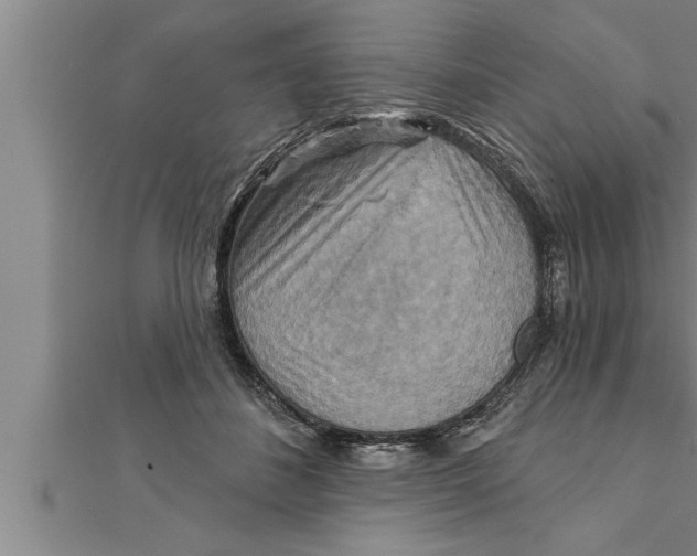 X0000111510508200908041225